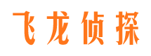 杨凌找人公司